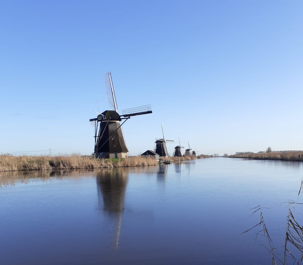 De molens bij Kinderdijk