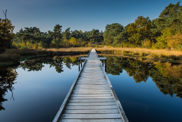 Brug over water | nationaal park de maasduinen