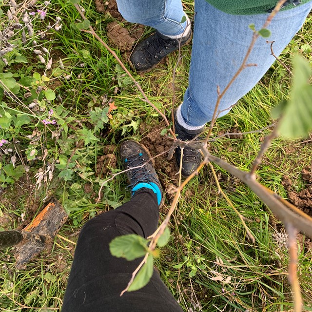 Bomen planten met Hanwag en Life Terra.