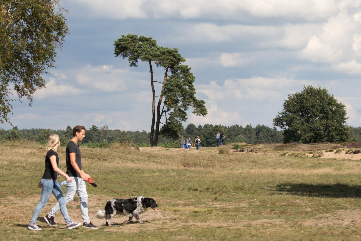 Appelscha Haapee Fotografie (1)