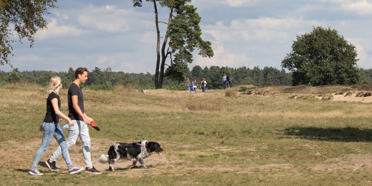 Appelscha Haapee Fotografie (1)