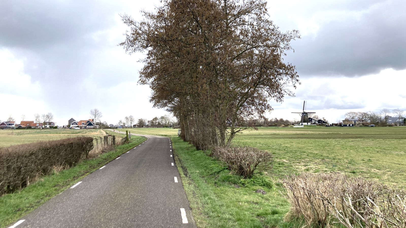 afbeelding van een weg door de weilanden, met een molen in beeld.