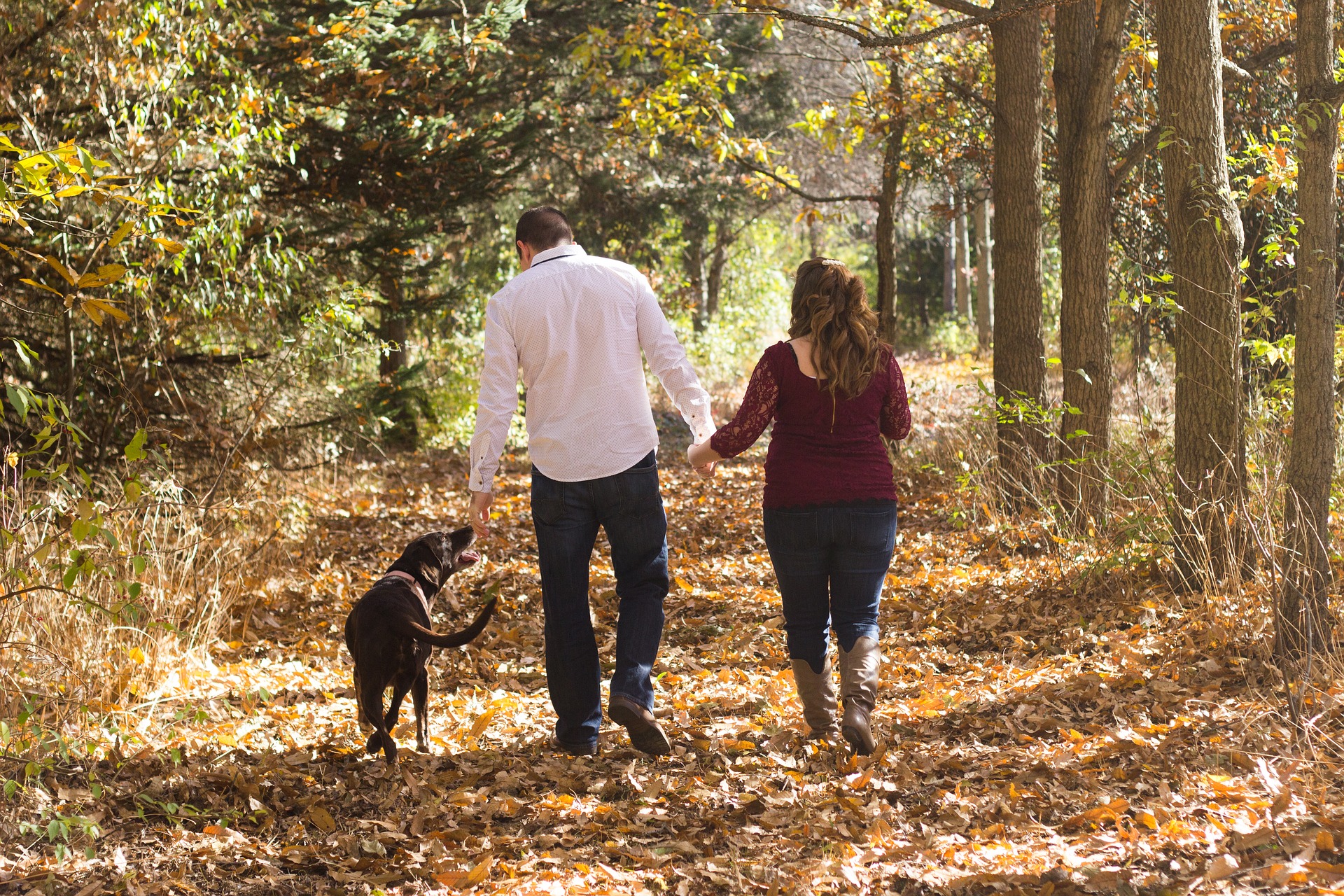 Man en vrouw hand in hand wandelend door het bos met een hond