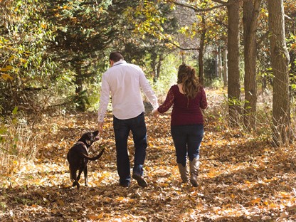 Man en vrouw hand in hand wandelend door het bos met een hond