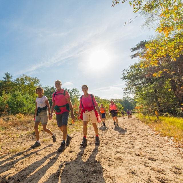 afbeelding van wandelaars die op zand lopen tijdens het Soester Wandelweekend.