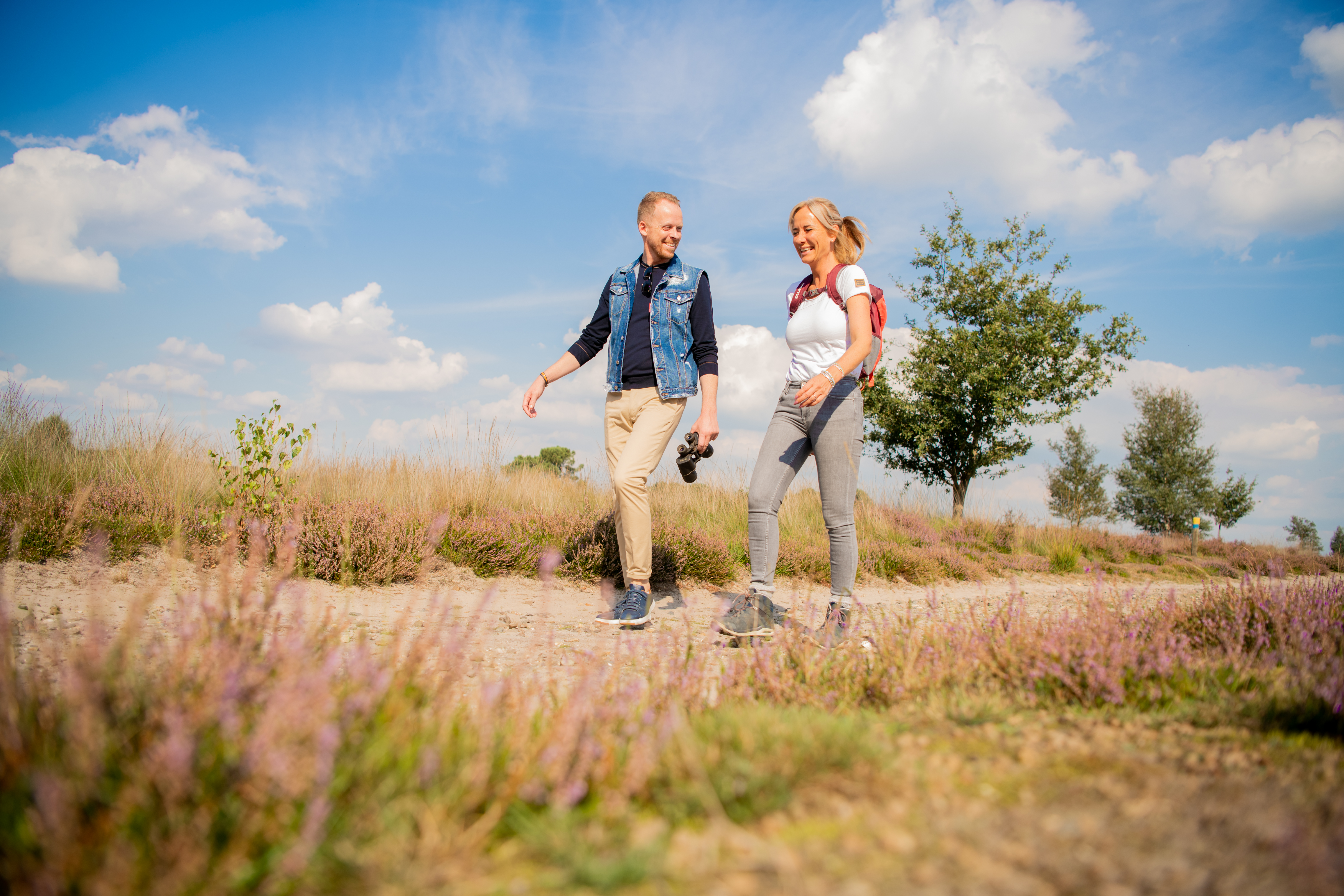 Top 8 Mooiste Wandelingen In Grensland Regte Heide