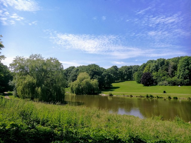 Afbeelding Elsenburgerbos, Rijswijk