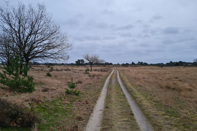 Stellingenpad (Etappe Westervelde – Appelscha)