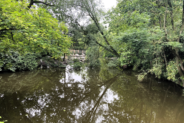 Tussen Stad En Groen Wandelen In Rotterdam: Diergaarde Blijdorp
