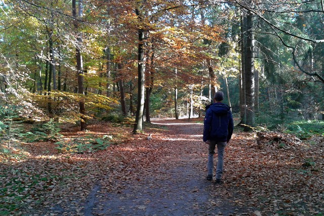 Wandelaar in de herfst, in Beerschoten.