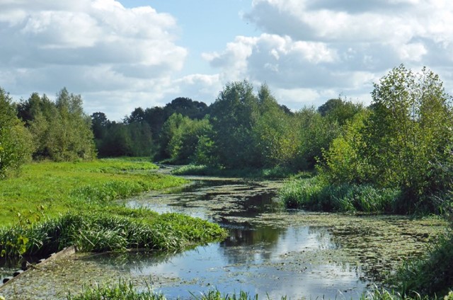 De mooiste netwerkwandelingen in Twente
