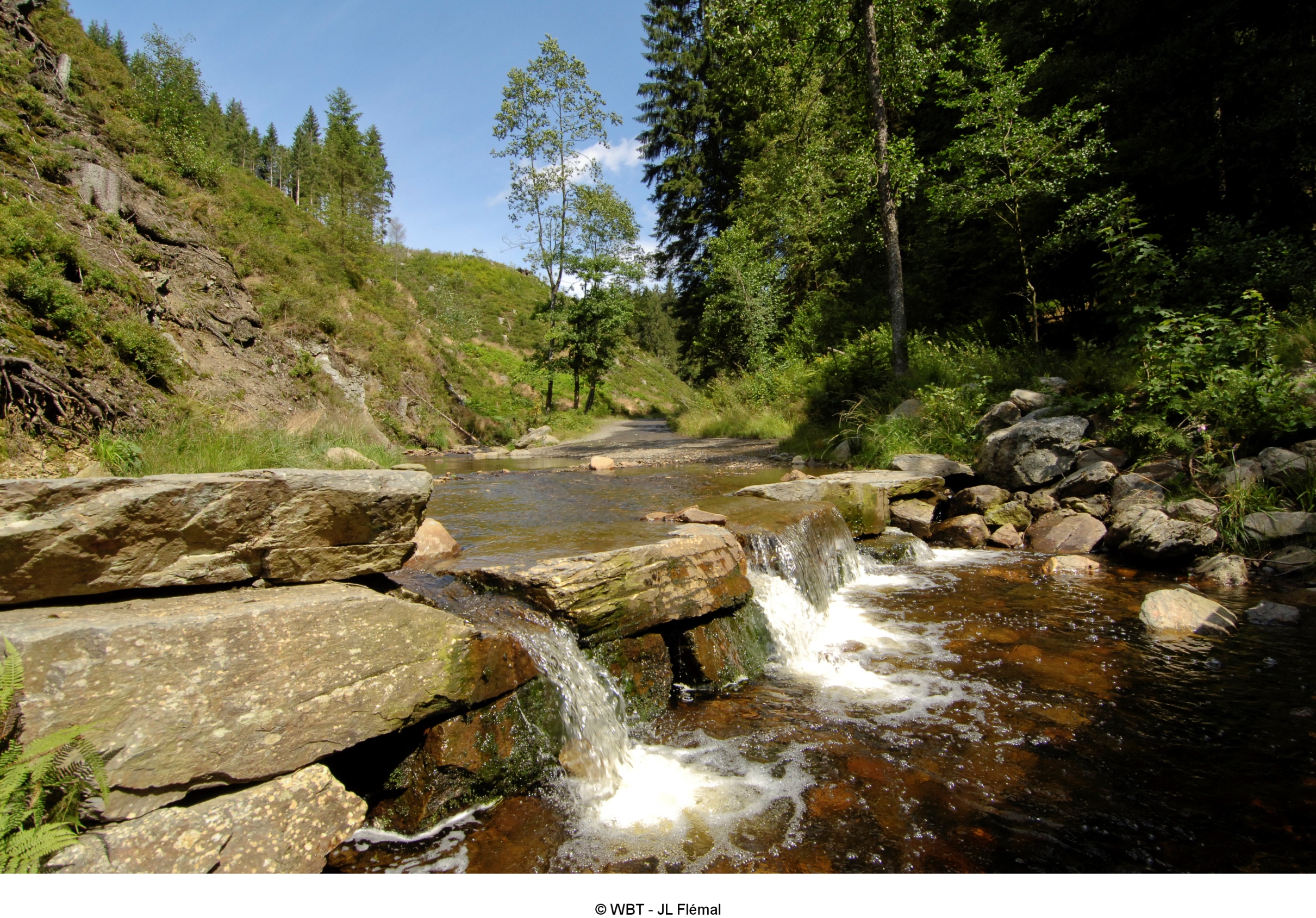 In de Vallei van de Statte