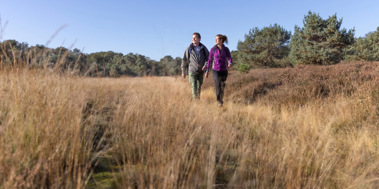 Parkwandeling Noord Brabant Rondje Genderpark (15)