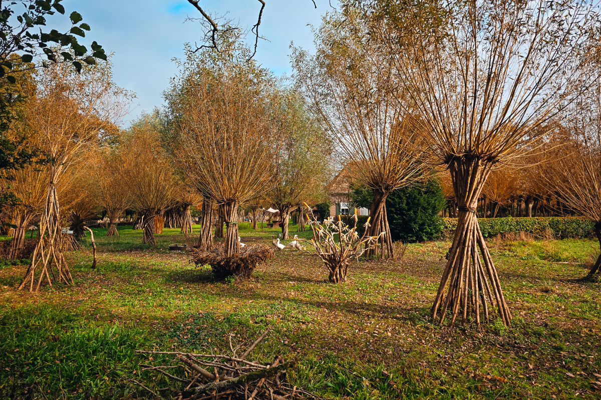 Klompenpad Achterhoek Achterwooldsepad