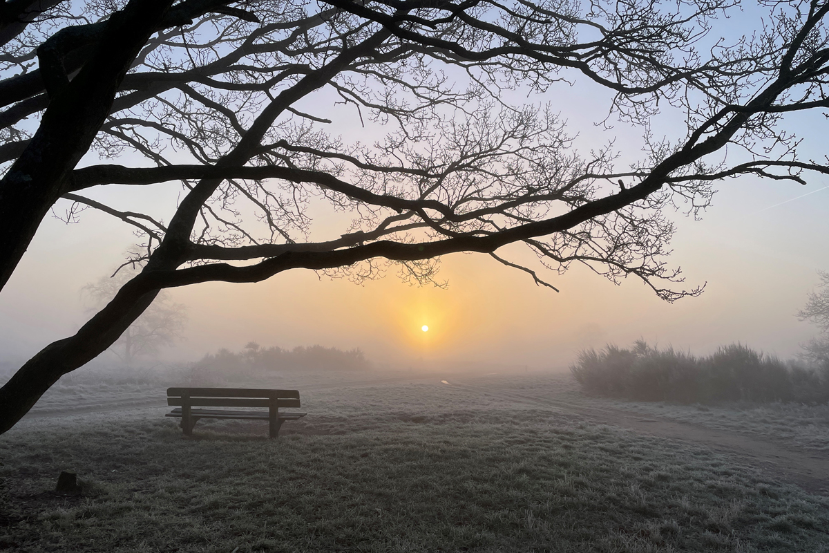 afbeelding van een wandelbankje op de Bussumerheide.