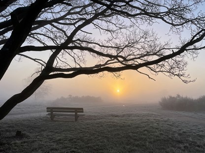 afbeelding van een wandelbankje op de Bussumerheide.