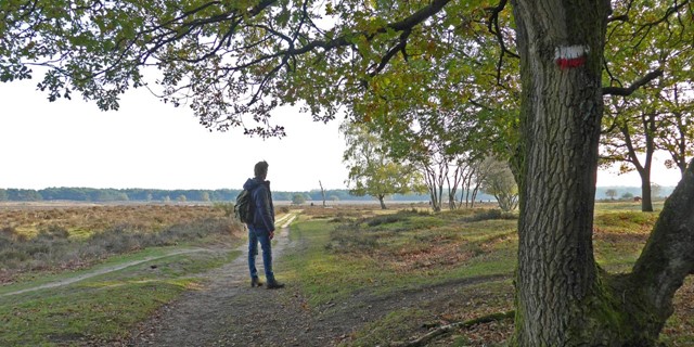 Wandelroutes Op De Utrechtse Heuvelrug NS Wandeling Landgoed Groeneveld Station Baarn