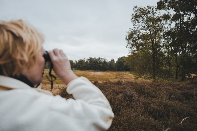 Wandelen in het Hart van Limburg