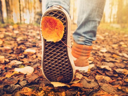 Schoenen die wandelen door een herfstbos
