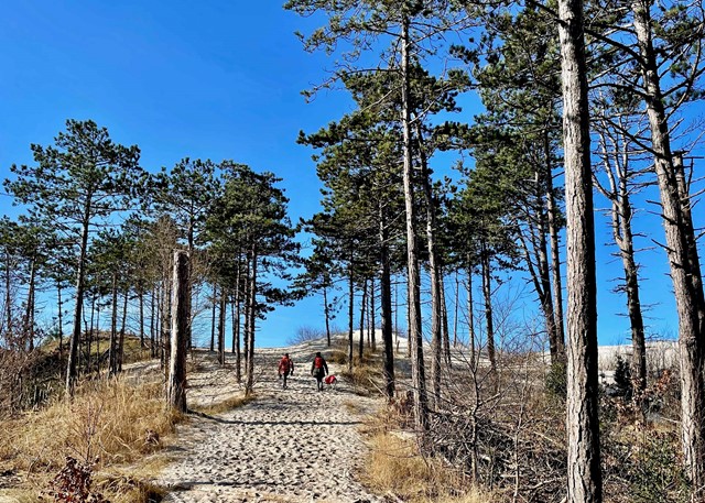 Afbeelding Stuifduinenroute Schoorl