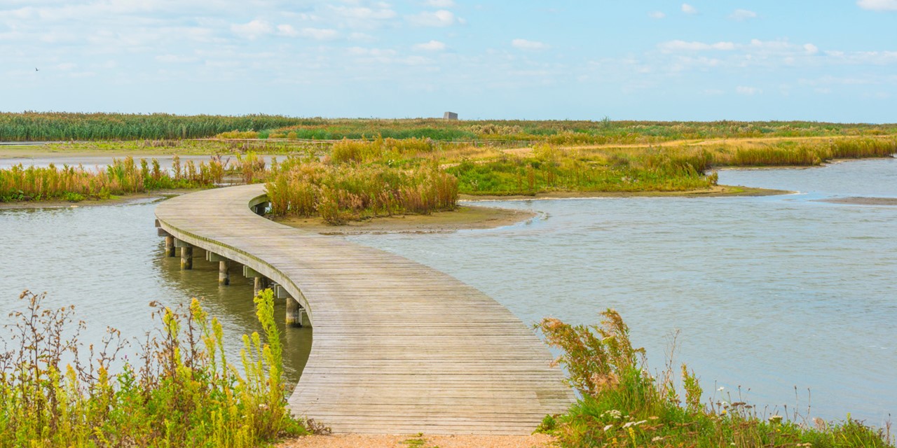 De 10 mooiste vlonderpaden in Nederland