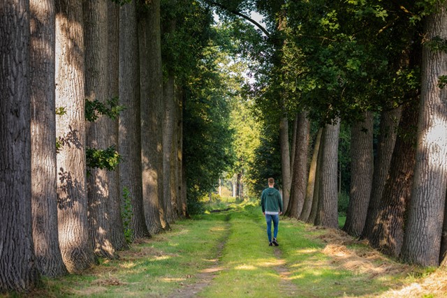 Van Gogh Wandelroutes in Brabant 5x in de voetsporen van de meesterschilder: Nuenen