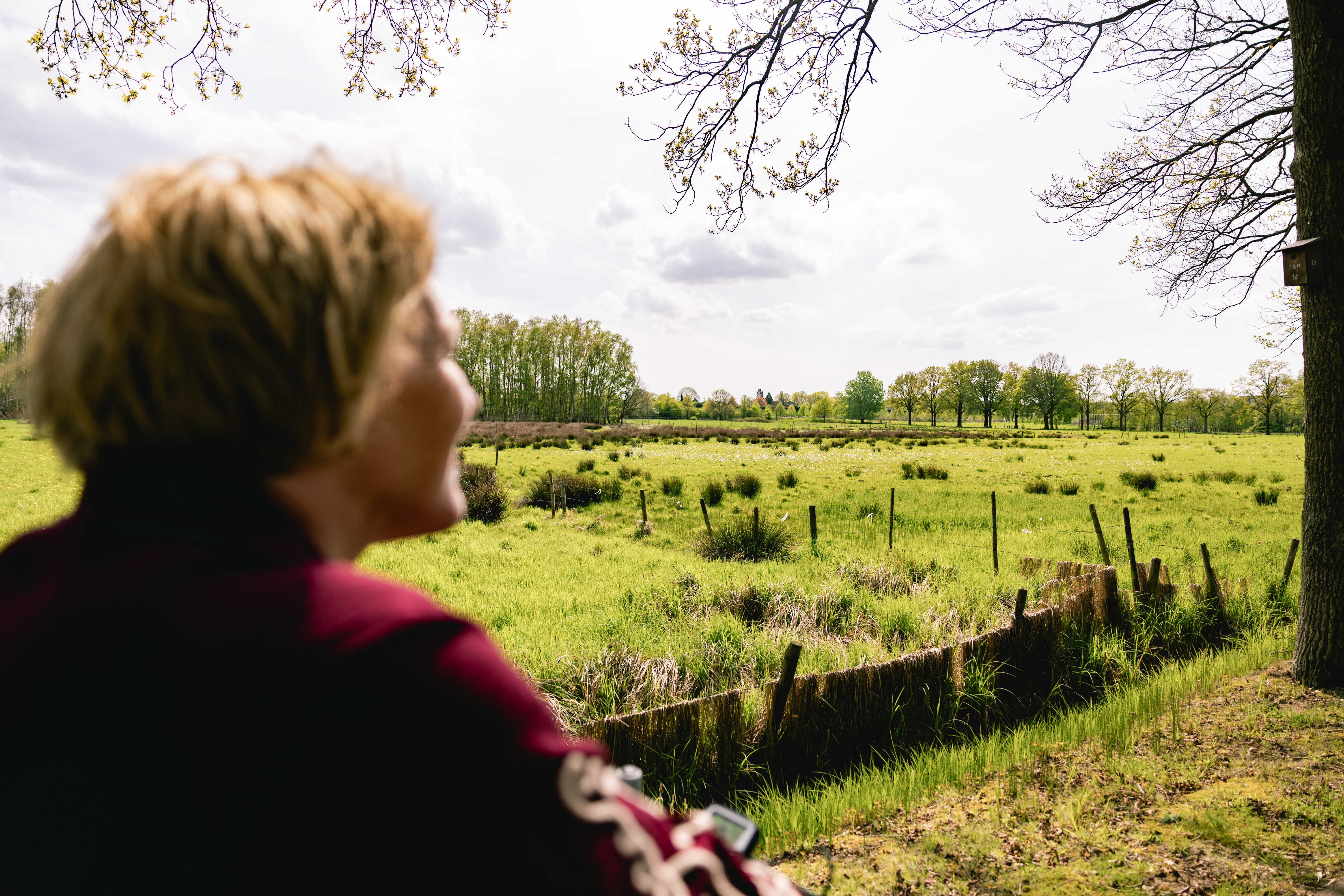 Vrouw kijkt uit over het landschap van Hart van Limburg tijdens een van de Premium Wandelroutes