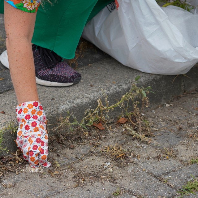 Zwerfafval rapen met een tuinhandschoen. (Foto: ©  Jack Tillmanns, Foto Focus)