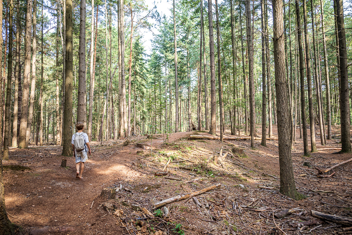 kind wandelt in het bos op blote voeten.