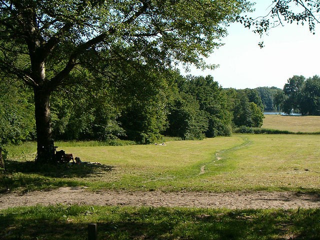 Amsterdamse bos