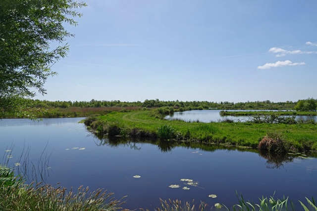 Boswachterspad Friesland Rottige Meente Natuurgebied Brandemeer