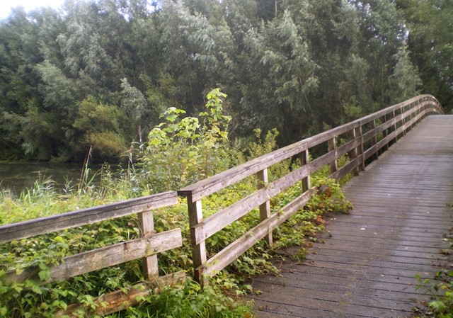 Afbeelding 2 | Wandelroutes in Flevoland: 10 tips