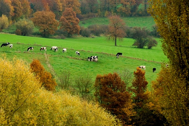 Omgeving Slenaken