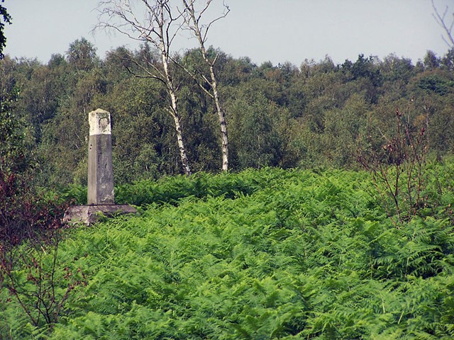 Grenspaal Aamsveen