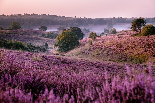 Veluwe Zwerfpad: een Streekpad om eindeloos te dwalen; uitzicht vanaf de Posbank