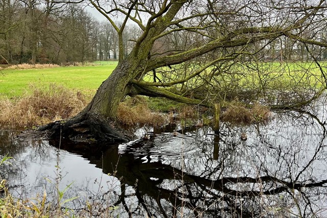 Van stad naar natuur: rondwandeling langs Twellose landgoederen 
