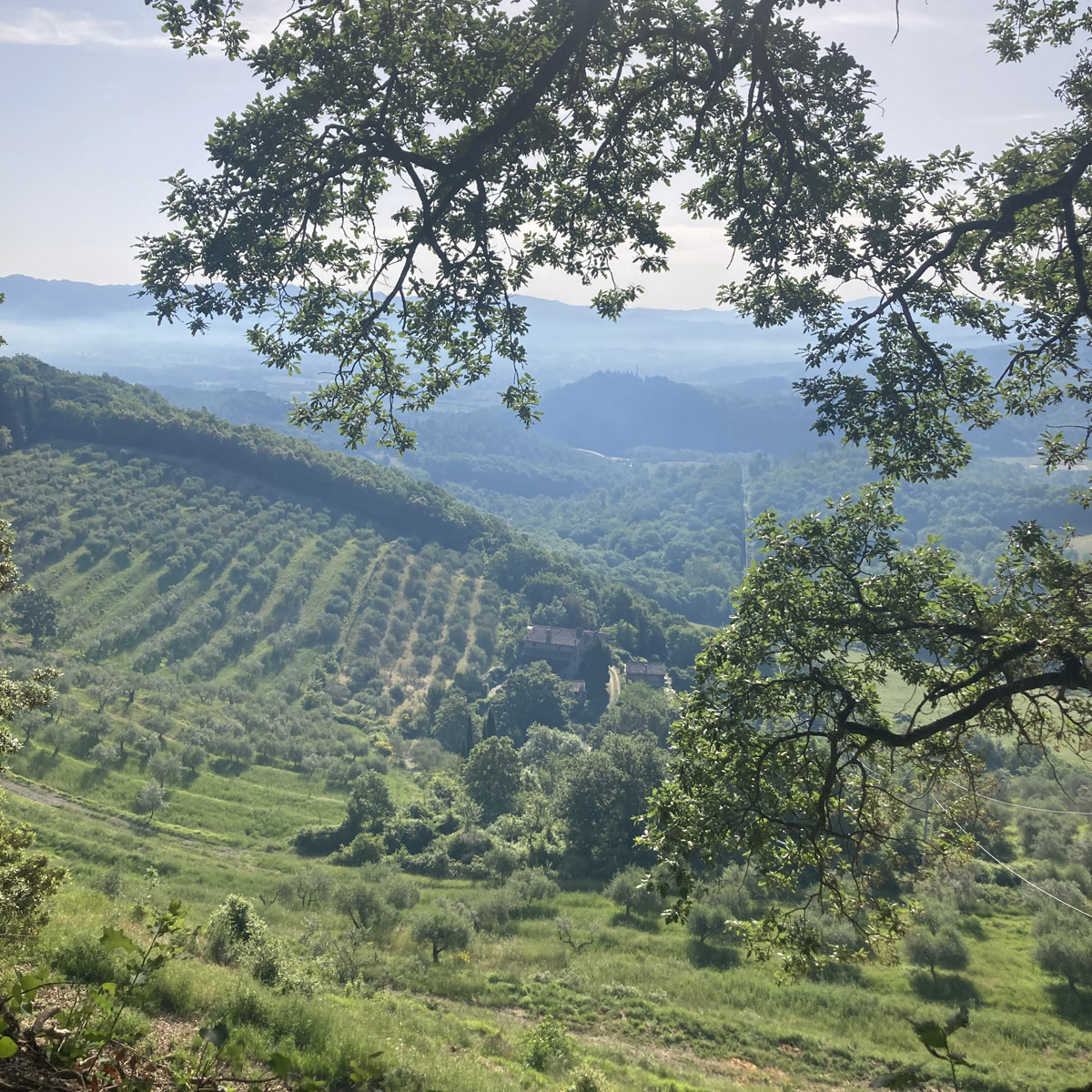 Afbeelding uitzicht Etappe 5.