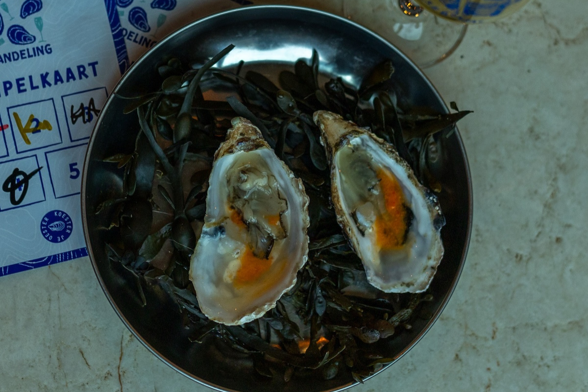 Op Stap In Haarlem De Oesterwandeling Als Culinaire Ontdekkingstocht (7)