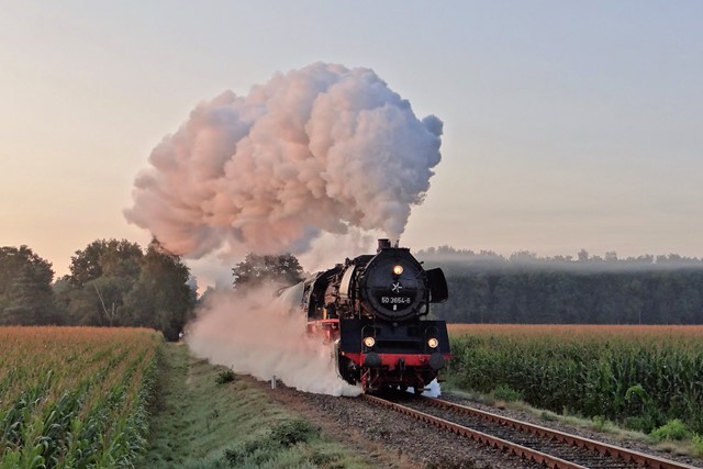 afbeelding van een stoomtrein op de Koningslijn.