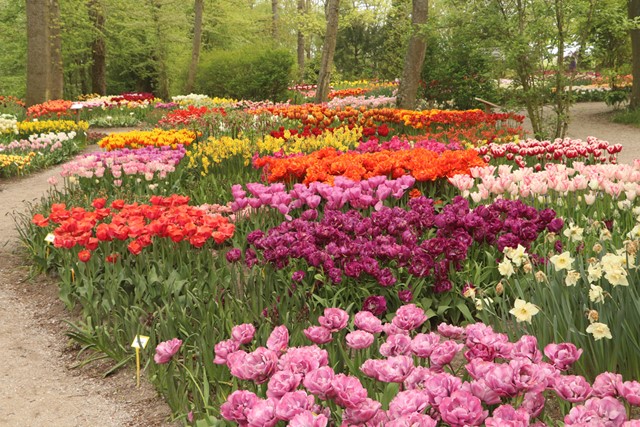 Landgoed Hoenderdaell een verrassend wandeluitje: kleurrijke bloemen, tulpen