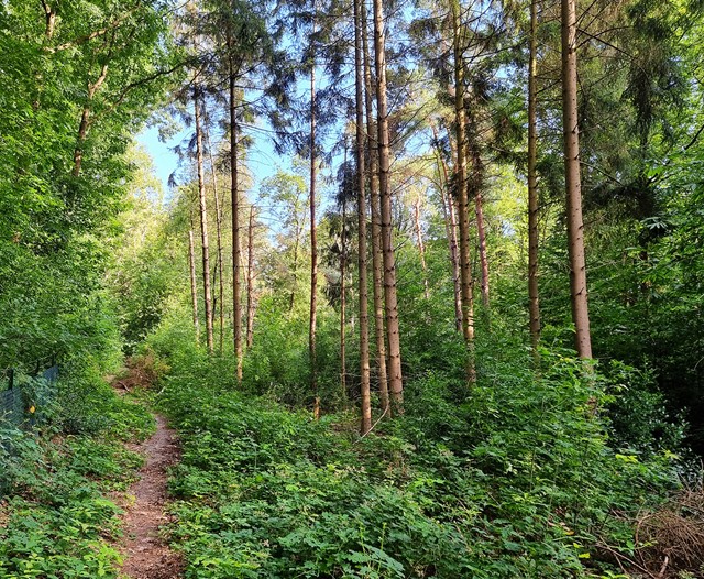 Route Zevenheuvelenhike