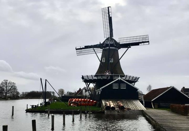 Afbeelding | Door De Wind Naar Balk