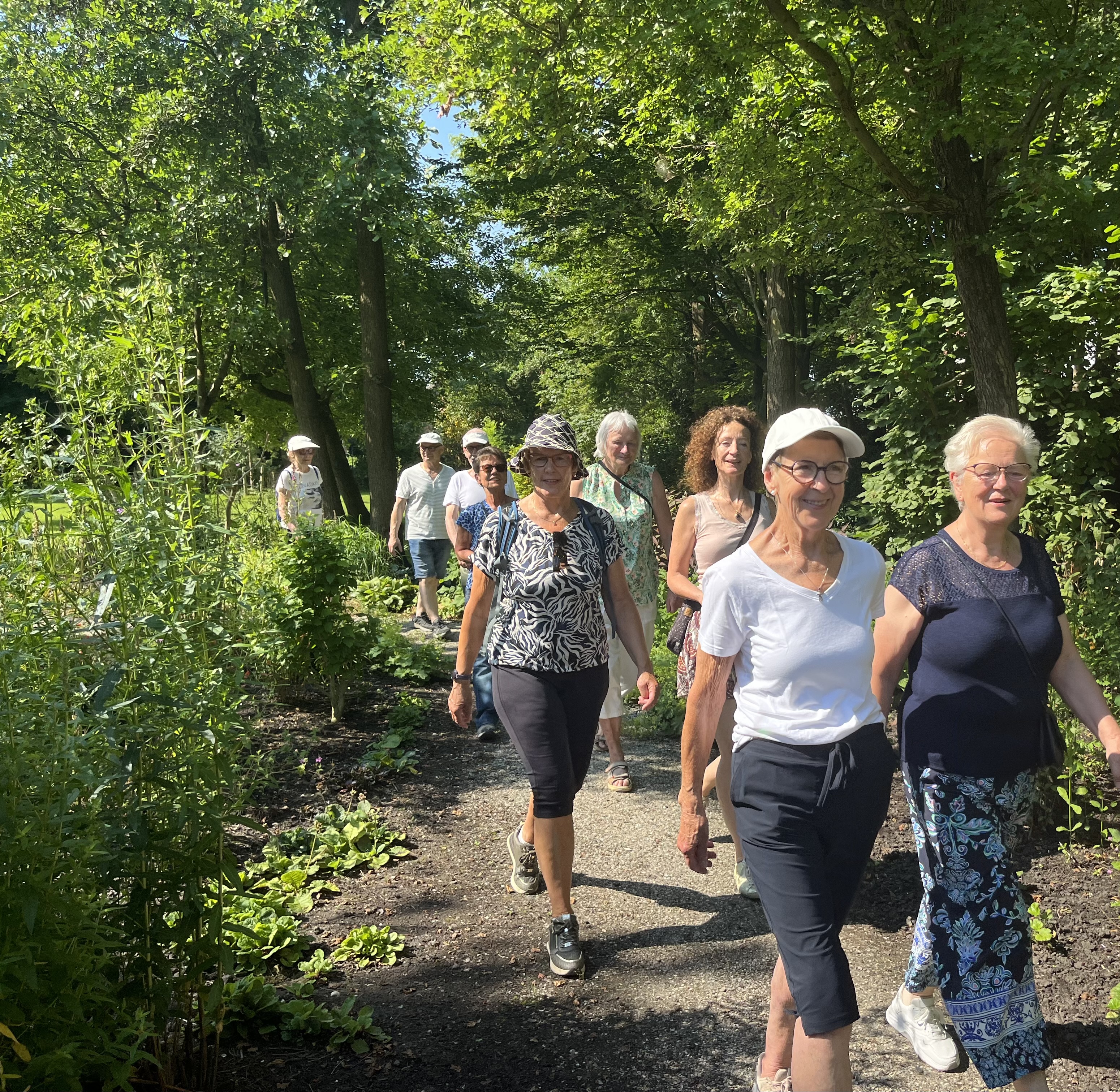 Wandel Het Voorjaar Tegemoet