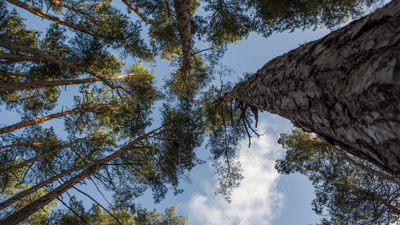 Ontwerp Zonder Titel 2024 09 03T180447.902