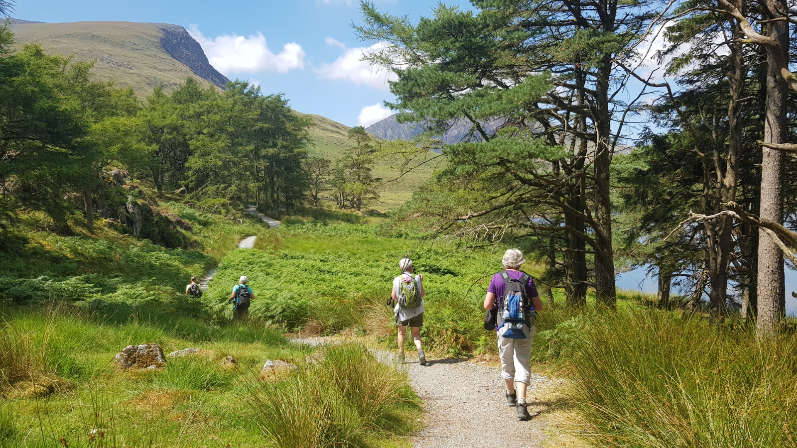 Parkwandeling Noord Brabant Rondje Genderpark (35)