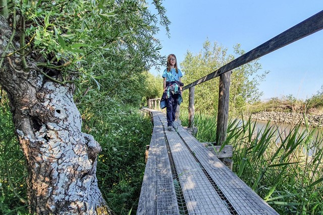 afbeelding van Agnes op een plankenpad.