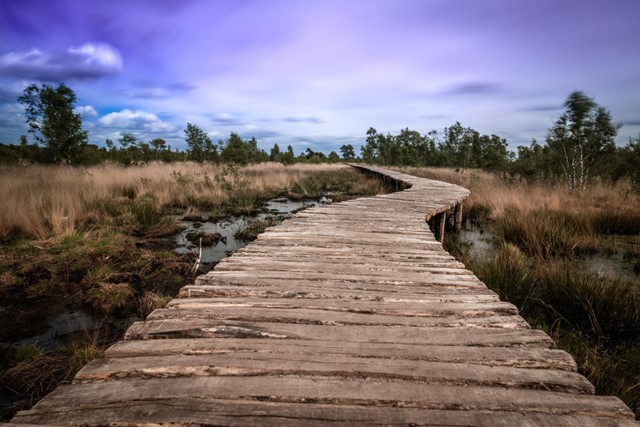 Ontdek De Groote Peel Wandelroute Meerbaansblaak Groote Peel