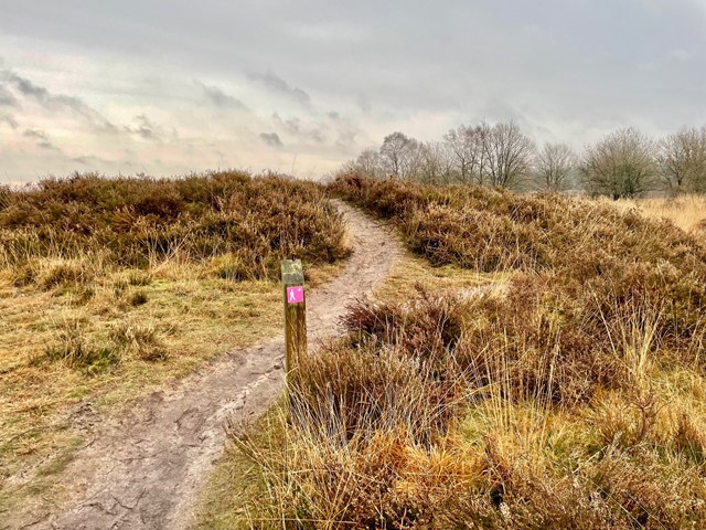 Afbeelding Cultuurhistorische wandeling Speulderbos Drie