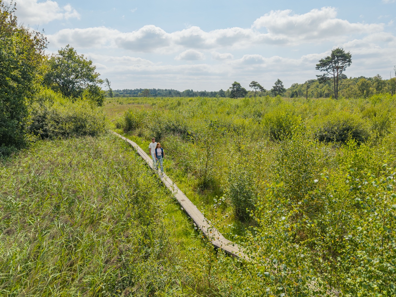 Wandelen in de Achterhoek