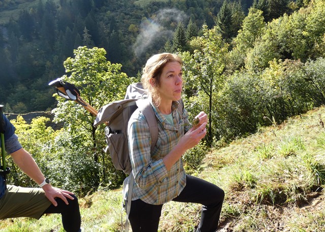 afbeelding van wandelaar in een blouse van Royal Robbins.